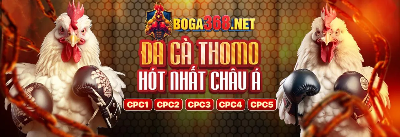 Hình ảnh bắn cá giải trí và đá gà hấp dẫn tại 888yes